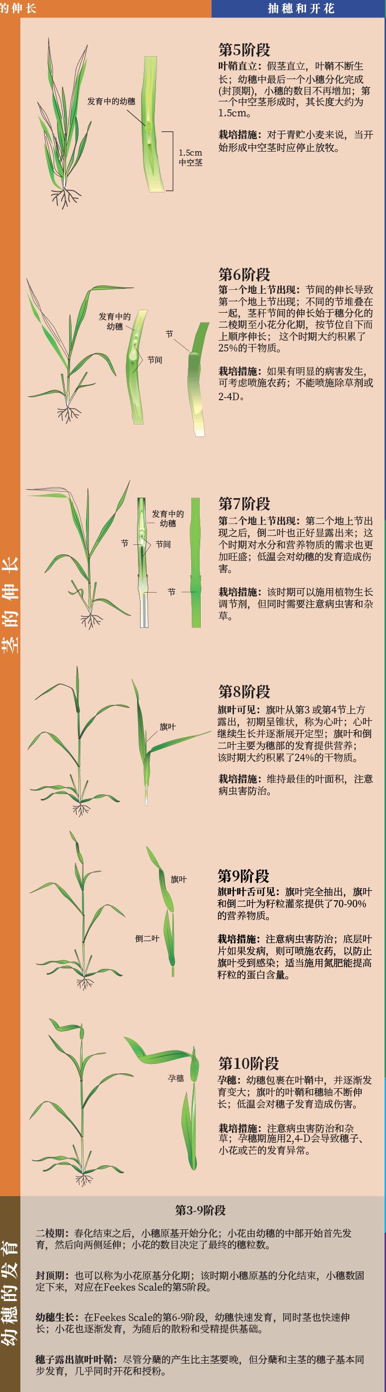微信图片_20250703121211.jpg