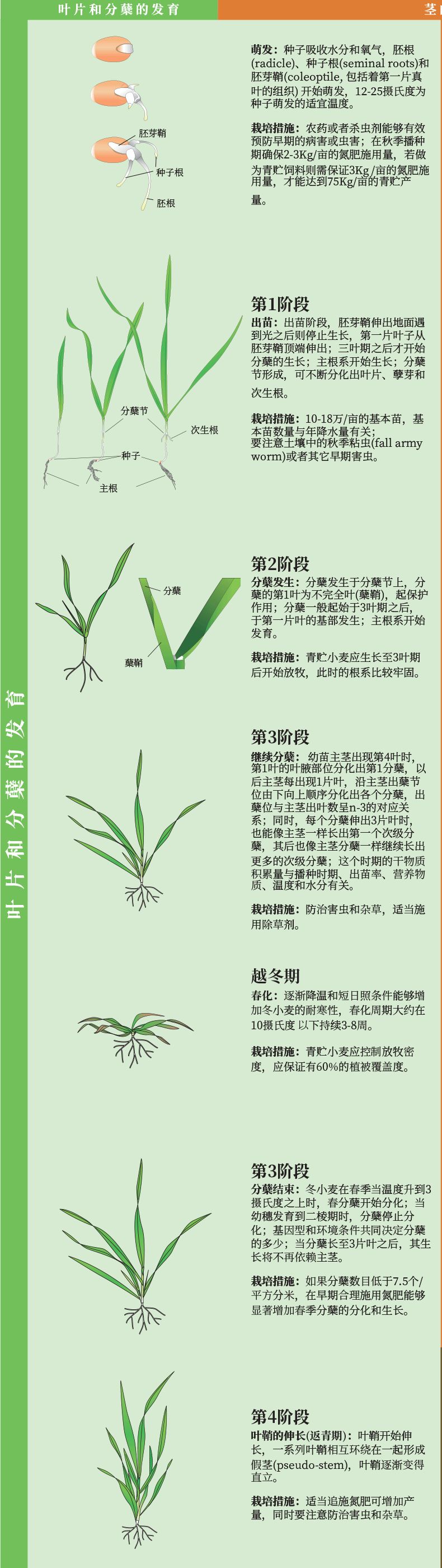 微信图片_20250703121201.jpg